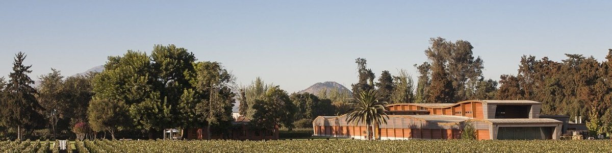 Almaviva Winery